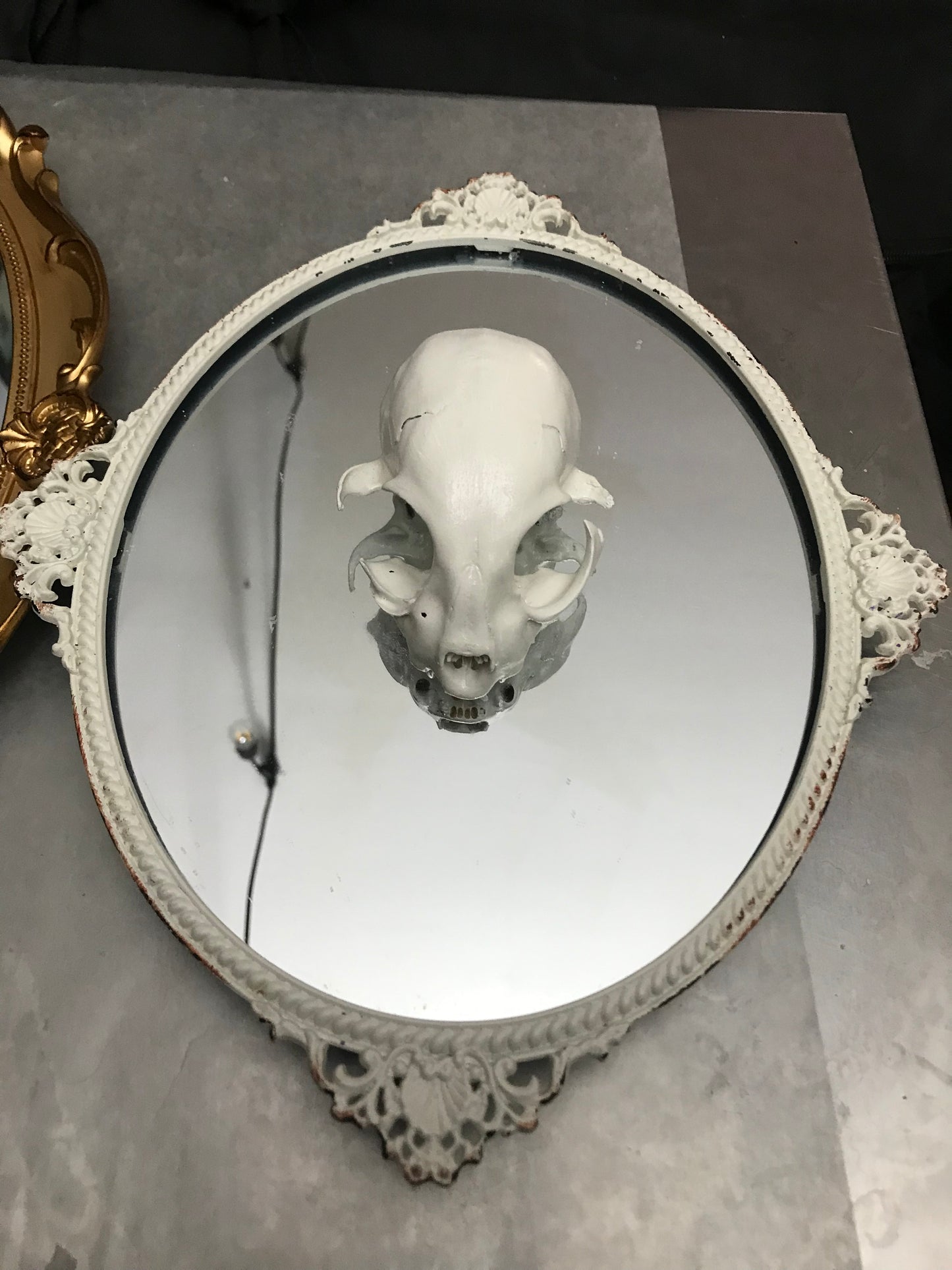 Skull Mirror 2