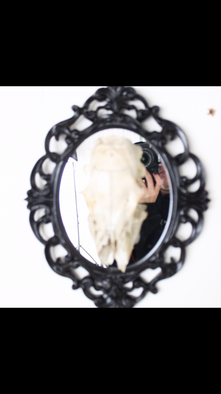 Skull Mirror 1