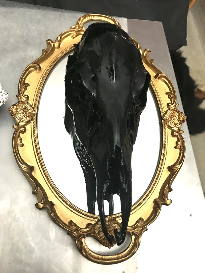 Skull Mirror 3