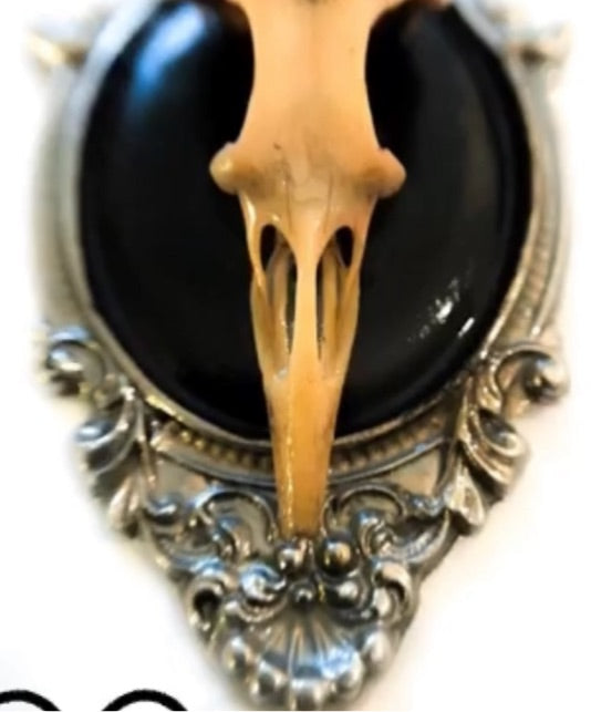 Bird Skull Necklace 1
