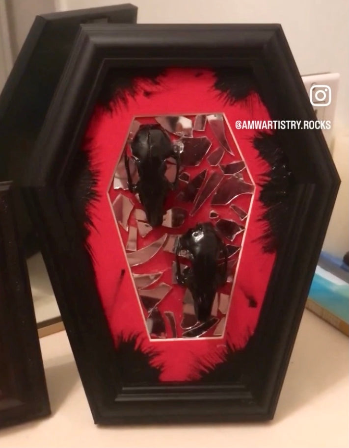 Skull Mirror Coffin