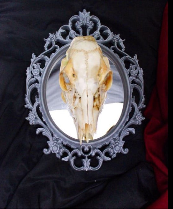 Skull Mirror 5