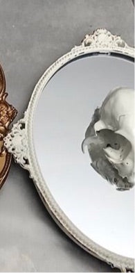 Skull Mirror 2