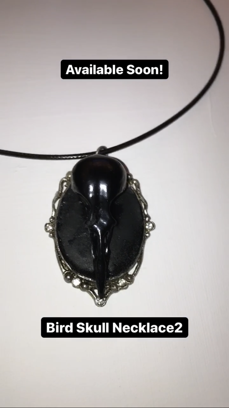Bird Skull Necklace 2