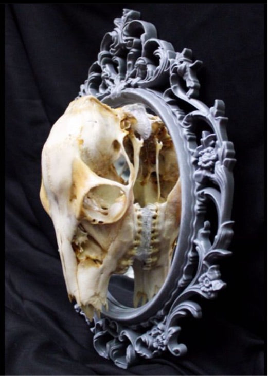 Skull Mirror 5