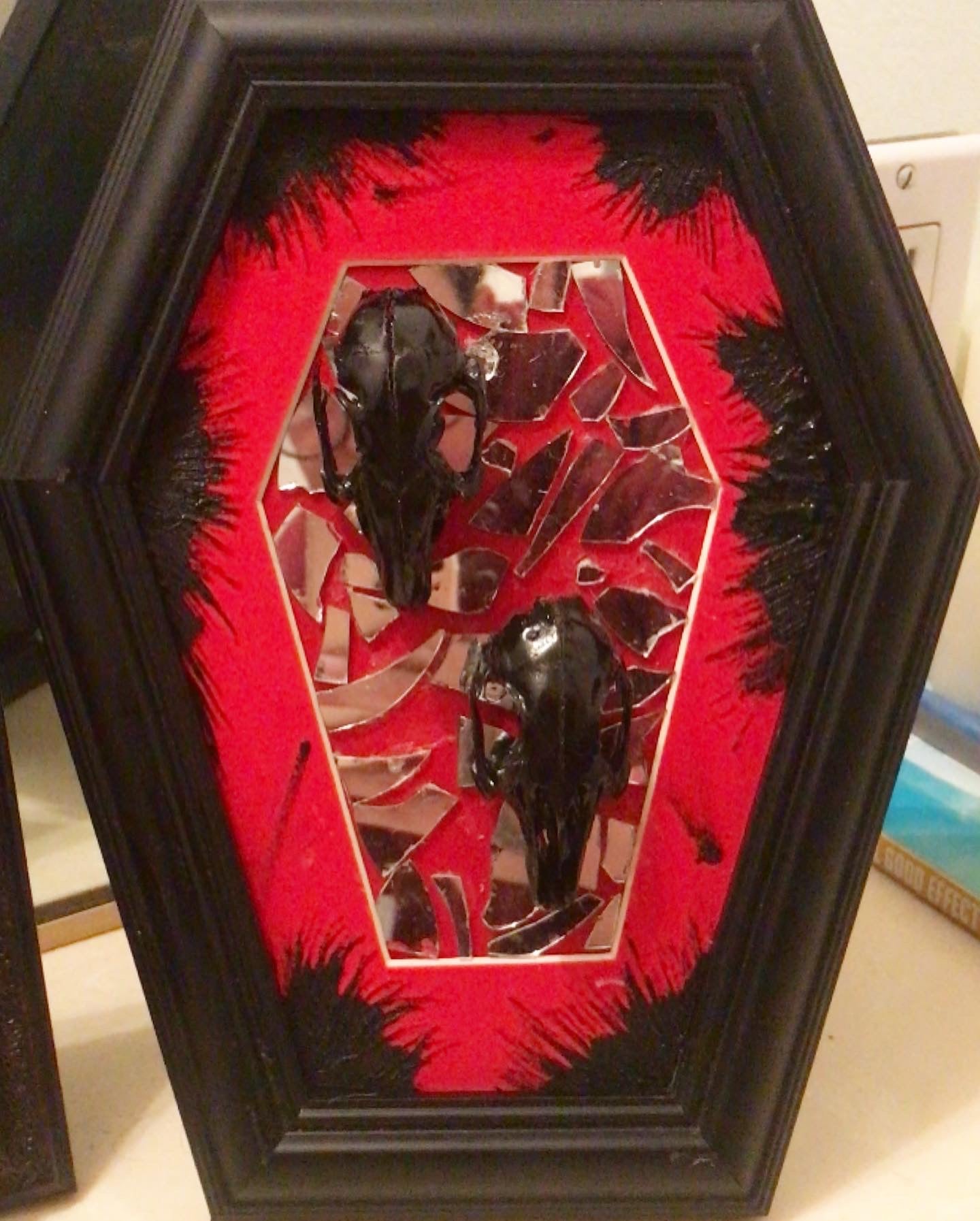Skull Mirror Coffin