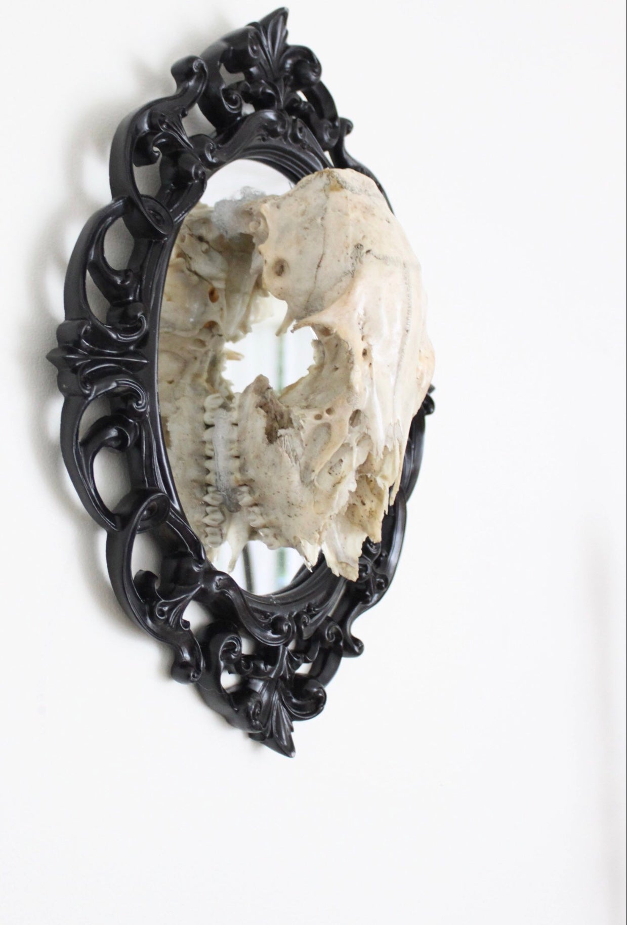 Skull Mirror 1